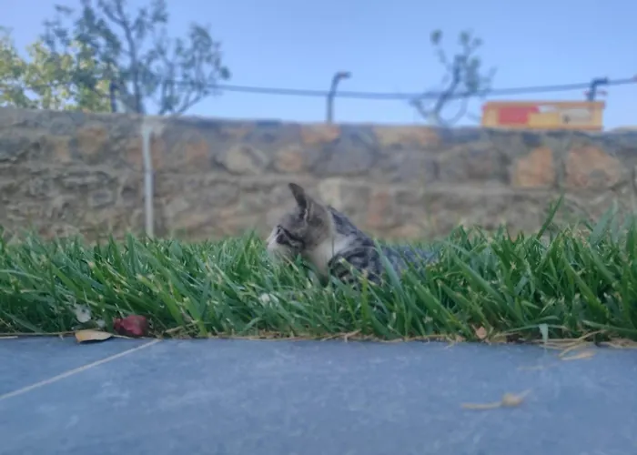 Dimelia Heaven Farm Dom wakacyjny